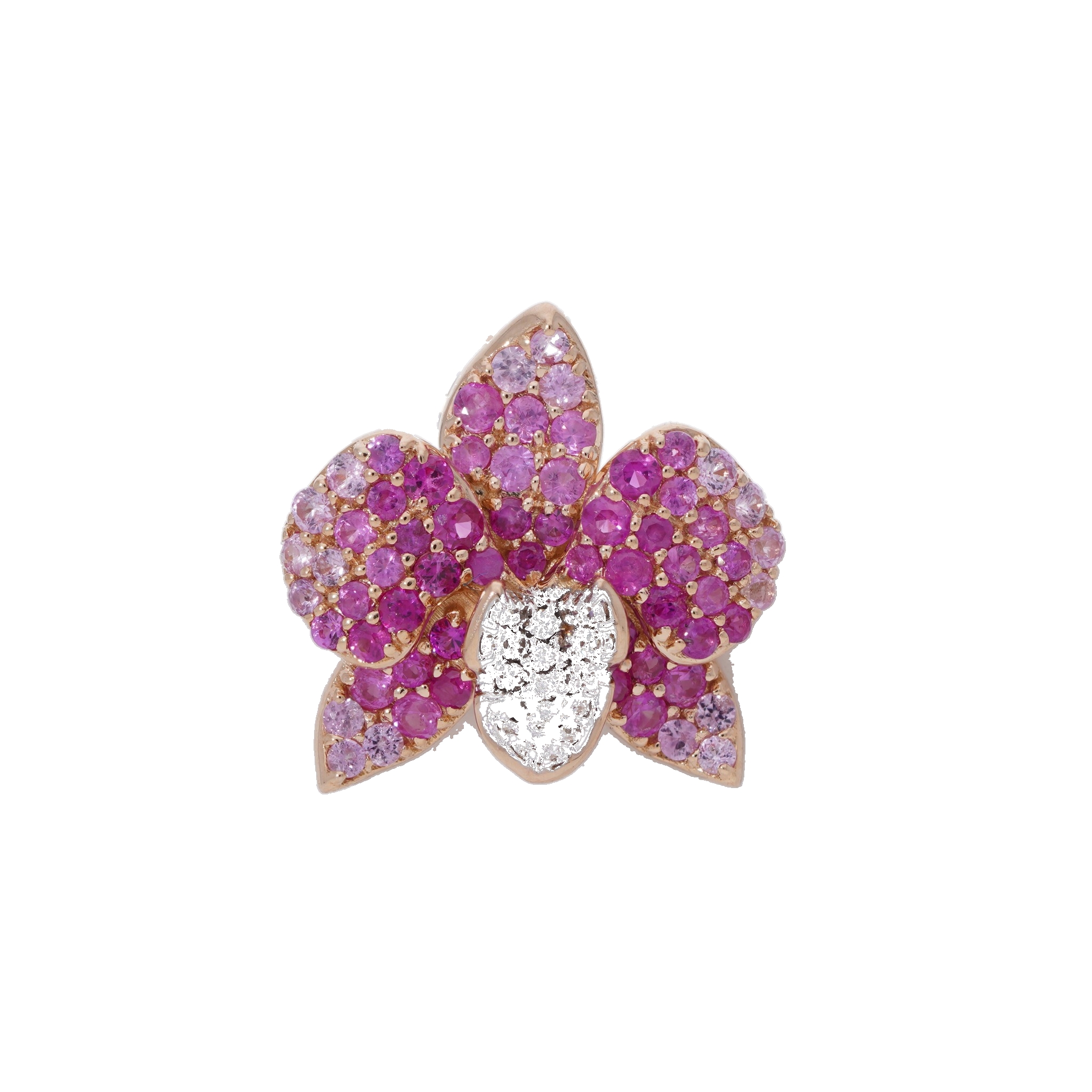 The Orchid Collection-Pink Sapphire